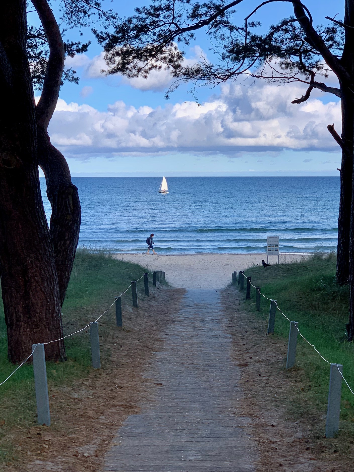 Rügen